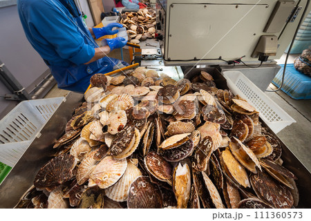 ホタテ自動耳吊り機械の穴あけドリル交換調整作業 111360573