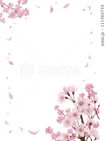 ~桜の便箋・罫線無し~A4 ~桜の便箋・罫線無し~A4 111360739