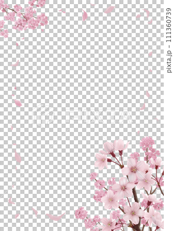 ~桜の便箋・罫線無し~A4 ~桜の便箋・罫線無し~A4 111360739