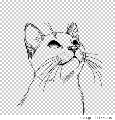 イラスト原画 「見上げる猫」 見上げる猫イラスト - No: 2209860｜無料イラスト・フリー素材