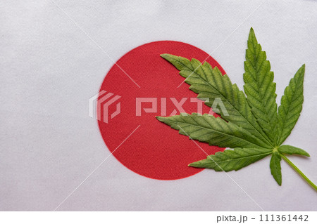 Big flag of Japan close up and fresh cannabis leaf. Illegal cultivation and distribution. Medical use Big flag of Japan close up and fresh cannabis leaf. Illegal cultivation and distribution. Medical use 111361442