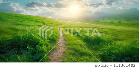 Path on a lush green hill under a sunny sky with clouds 111361482