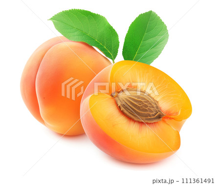 Ripe apricots with vibrant green leaves isolated on white 111361491