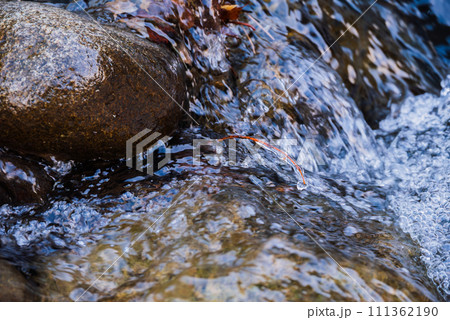 小さな飛沫氷と淀みに浮かぶ泡沫【差切峡】 小さな飛沫氷と淀みに浮かぶ泡沫【差切峡】 111362190