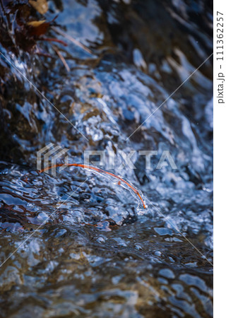 小さな飛沫氷と川の流れ【差切峡】 小さな飛沫氷と川の流れ【差切峡】 111362257