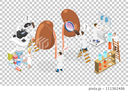 3D Isometric Flat  Conceptual Illustration of Urology and Nephrology, Kidney Healthcare 111362486