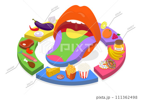 3D Isometric Flat Conceptual Illustration of Human Five Tastes, Tongue Receptor Zones 3D Isometric Flat Conceptual Illustration of Human Five Tastes, Tongue Receptor Zones 111362498