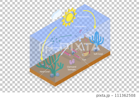 3D Isometric Flat Conceptual Illustration of Plankton Life, Ocean Food Chain 3D Isometric Flat Conceptual Illustration of Plankton Life, Ocean Food Chain 111362508