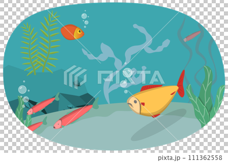 3D Isometric Flat Set of Aquarium Life, Ocean Underwater World 3D Isometric Flat Set of Aquarium Life, Ocean Underwater World 111362558