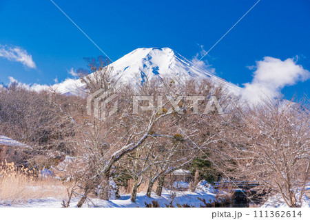 （山梨県）降雪した忍野・新名庄川と富士山 111362614