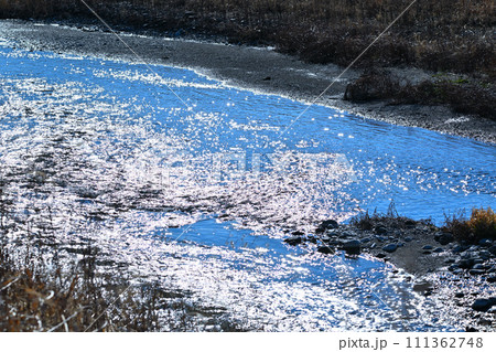 荒川本流の水辺 きらめく反射 花園水辺公園付近 荒川本流の水辺 きらめく反射 花園水辺公園付近 111362748