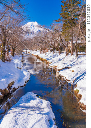 (山梨県)忍野の新名庄川と富士山・雪景色 (山梨県)忍野の新名庄川と富士山・雪景色 111362830