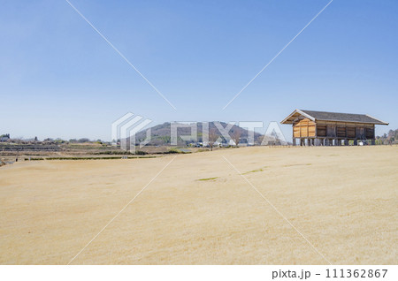 茨城 平沢官衙遺跡(つくば市) 茨城 平沢官衙遺跡(つくば市) 111362867
