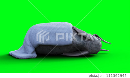 elephant sleeps under a blanket. 3d rendering. elephant sleeps under a blanket. 3d rendering. 111362945