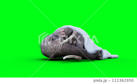 elephant sleeps under a blanket. 3d rendering. 111362950