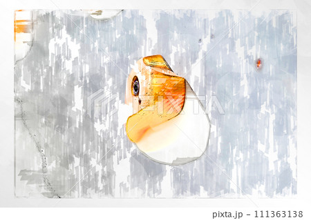 スケッチ風 ボルダリング ボルダリングウォール 壁 木製 ホールド ボルダリングジム スケッチ風 ボルダリング ボルダリングウォール 壁 木製 ホールド ボルダリングジム 111363138