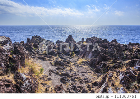城ヶ崎海岸 111363761