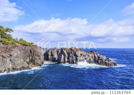 城ヶ崎海岸 111363764