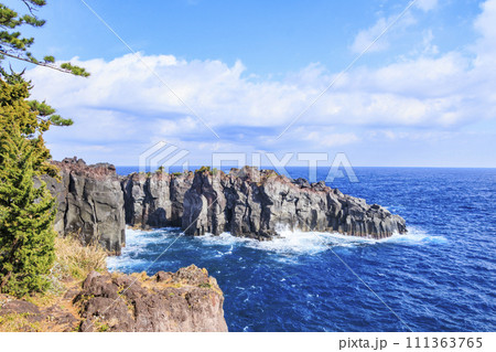 城ヶ崎海岸 城ヶ崎海岸 111363765