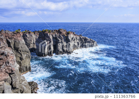 城ヶ崎海岸 111363766