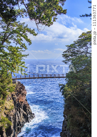 城ヶ崎海岸 111363771