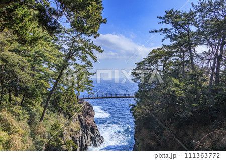 城ヶ崎海岸 城ヶ崎海岸 111363772