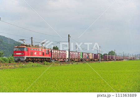 北陸本線 北鯖江ー大土呂 JR貨物 EF510-13(富山) 北陸本線 北鯖江ー大土呂 JR貨物 EF510-13(富山) 111363889
