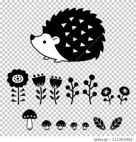 黑白插圖集可愛的刺蝟、小蘑菇、花朵等。 黑白插圖集可愛的刺蝟、小蘑菇、花朵等。 111363902