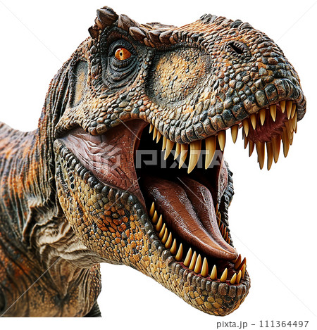 ティラノサウルスのイメージ image of Tyrannosaurus No12-10 111364497