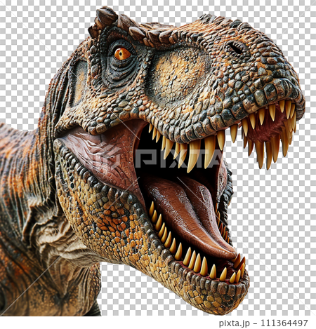 暴龍No12-10圖片 暴龍No12-10圖片 111364497