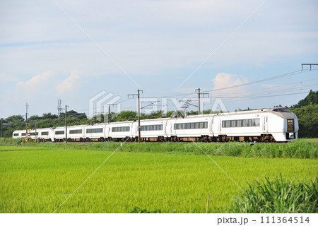 常磐線 羽鳥ー岩間 JR東日本 651系 K106編成(勝田) スーパーひたち 常磐線 羽鳥ー岩間 JR東日本 651系 K106編成(勝田) スーパーひたち 111364514