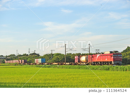 常磐線　羽鳥ー岩間　JR東日本　EF81-133（田端） 111364524