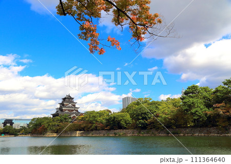 広島城 111364640