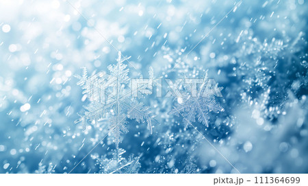 美しい雪の結晶、冬をイメージとした背景素材。企業ホームページやPPTなどの装飾用。 美しい雪の結晶、冬をイメージとした背景素材。企業ホームページやPPTなどの装飾用。 111364699