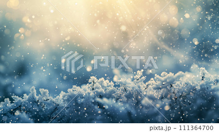 美しい雪の結晶、冬をイメージとした背景素材。企業ホームページやPPTなどの装飾用。 111364700