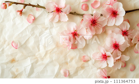 白塗りの木材に広がる春の柔らかな桜の花びら。リラックスした日本・ハーモニーのイメージ。 白塗りの木材に広がる春の柔らかな桜の花びら。リラックスした日本・ハーモニーのイメージ。 111364753