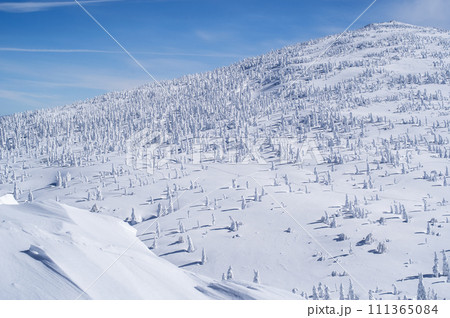 快晴の森吉山冬景色 秋田県 快晴の森吉山冬景色 秋田県 111365084