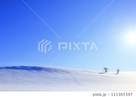 青空が広がる冬の美瑛の丘と木 青空が広がる冬の美瑛の丘と木 111365397