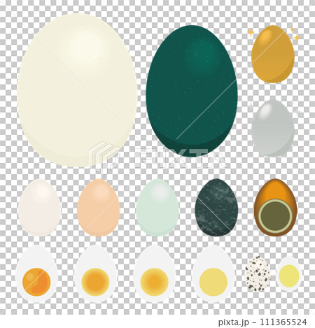 各種雞蛋的插圖 111365524