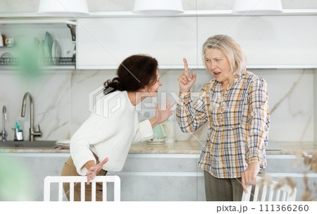Domestic quarrel - elderly mother quarrels with her adult daughter and starts screaming 111366260