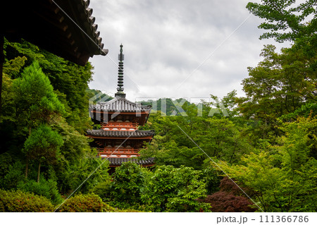 京都府宇治市の三室戸寺で見た、緑に囲まれた三重塔 111366786