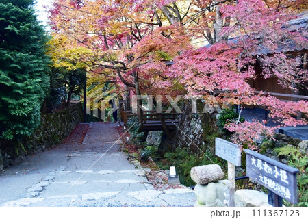 京都市 大原女の小径(大原三千院参道)の紅葉 京都市 大原女の小径(大原三千院参道)の紅葉 111367123