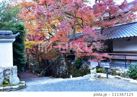 京都市 大原女の小径(大原三千院参道)の紅葉 京都市 大原女の小径(大原三千院参道)の紅葉 111367125