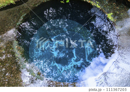 静岡県清水町 柿田川公園 静岡県清水町 柿田川公園 111367203