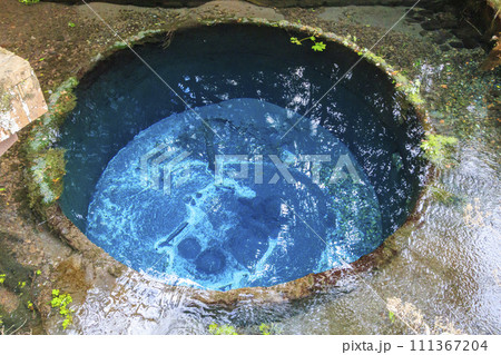 静岡県清水町 柿田川公園 静岡県清水町 柿田川公園 111367204