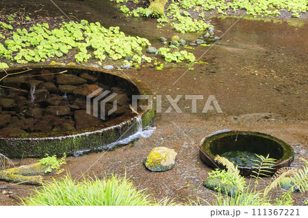 静岡県清水町　柿田川公園 111367221