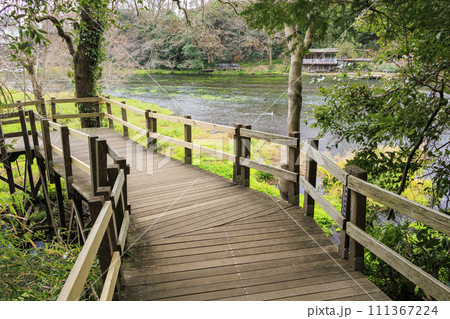静岡県清水町　柿田川公園 111367224
