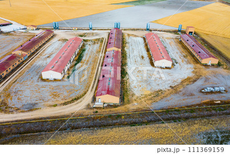 Aerial view of modern pig farm 111369159