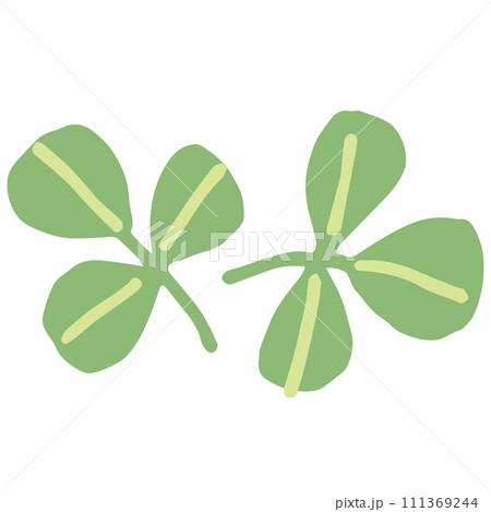 カスリメティのイラスト（名称なし） 111369244