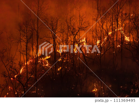 El Nino weather phenomenon cause drought and increase wildfire in southeast asia. El Nino weather phenomenon cause drought and increase wildfire in southeast asia. 111369495